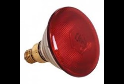 Warme Lampe rot 230V - 250W